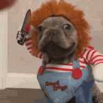 Chucky dog costume