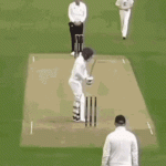 Cricket Stumps GIF