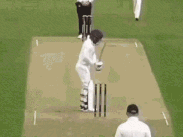 Cricket Stumps GIF