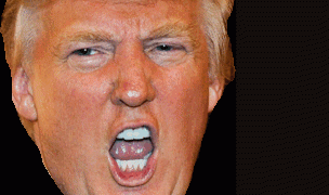 Donald Trump Face Sticker