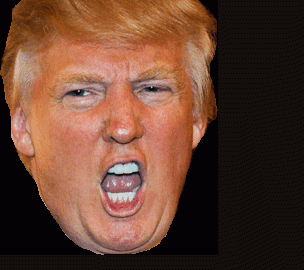 Donald Trump Face Sticker