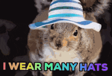 Hamster wears hats