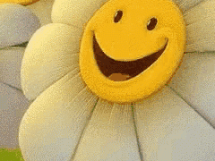 Have A Fun Filled Day Flower GIF