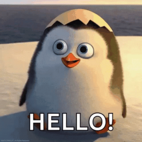 Hello There Private From Penguins Of Madagascar GIF