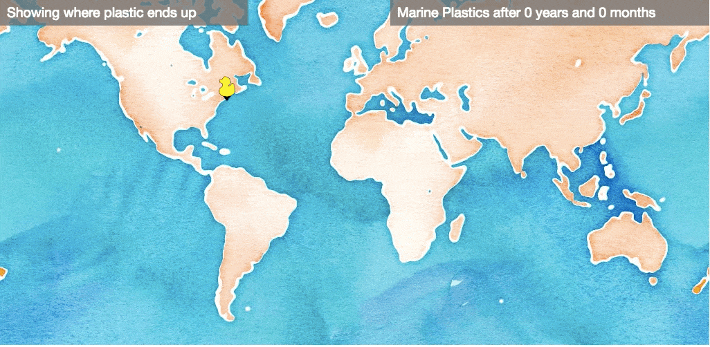 Plastic map