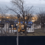 Trees being cut down at Ontario Place