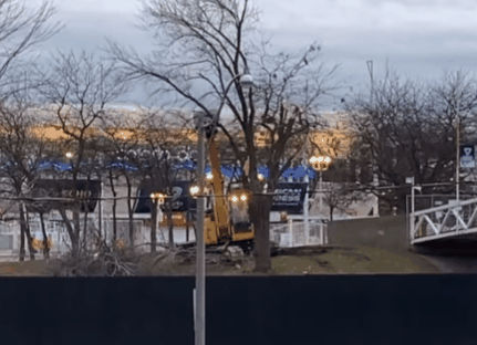 Trees being cut down at Ontario Place