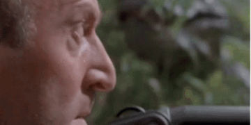 Clever girl gif